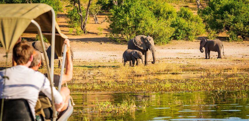 People on a safari, looking at elephants near a watering hole.