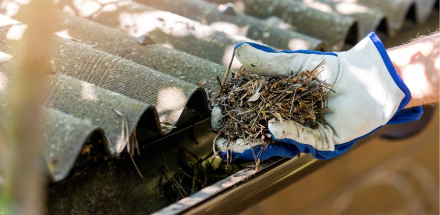 A hand holding sticks and leaves that were taken out of a gutter.