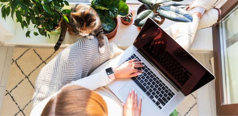 A top-down view of a woman using a laptop. Her pet cat is sitting with her.