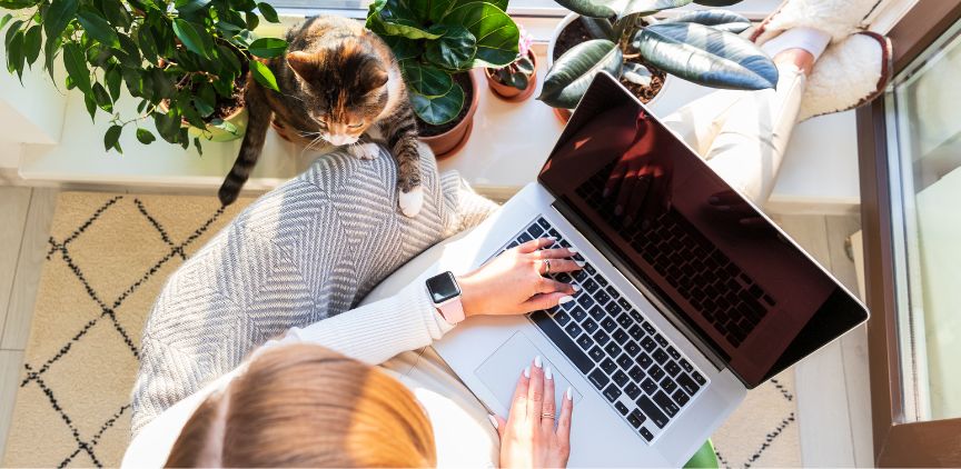 A top-down view of a woman using a laptop. Her pet cat is sitting with her.