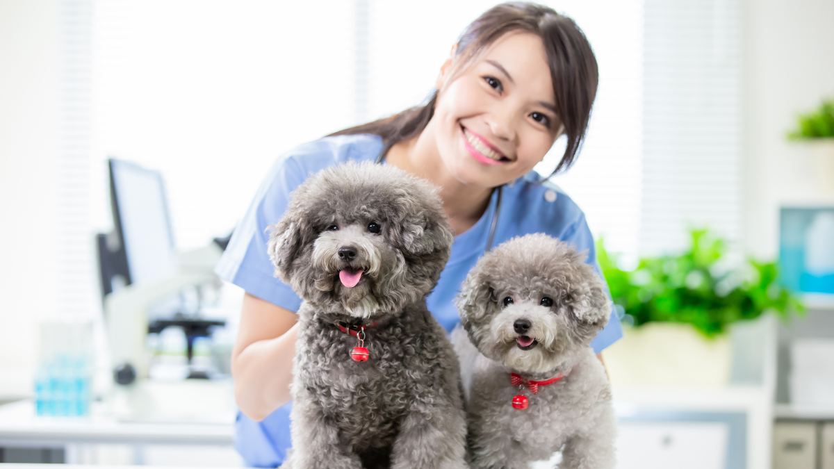 vet with pets